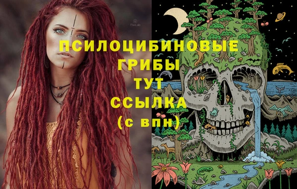 ECSTASY Беломорск
