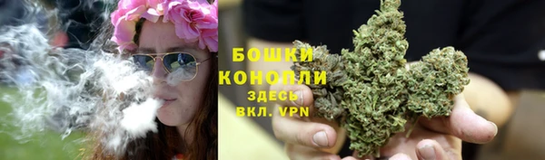 гашик Белокуриха