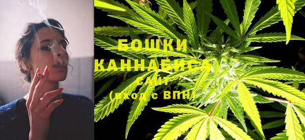 гашик Белокуриха
