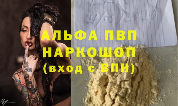 гашик Белокуриха