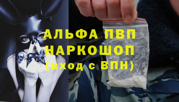 ECSTASY Беломорск