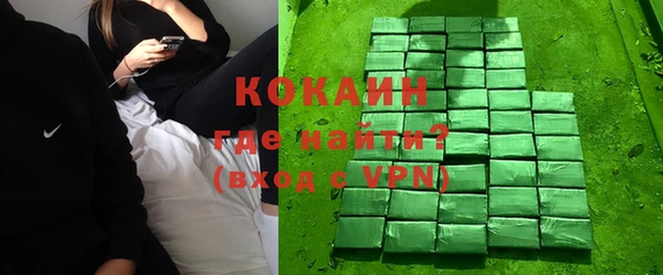 гашик Белокуриха