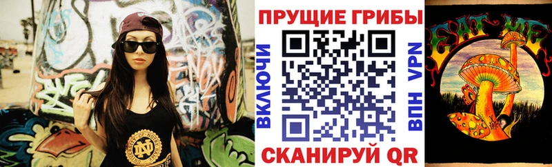 Галлюциногенные грибы мицелий  blacksprut зеркало  Курчалой 